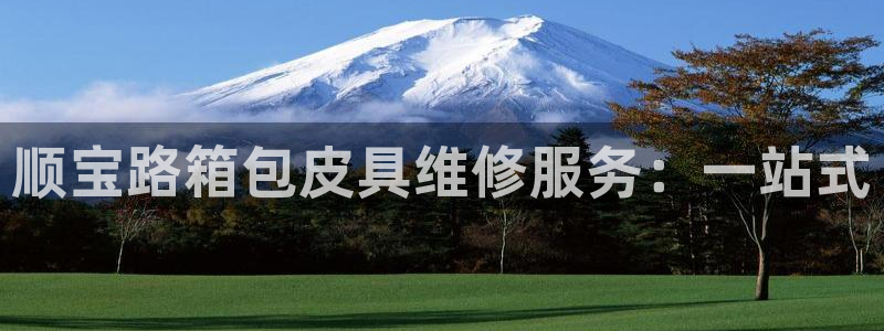 辉达娱乐五39444