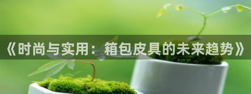 辉达娱乐游戏.直开.中国