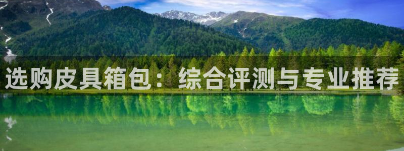 辉达娱乐线路检测