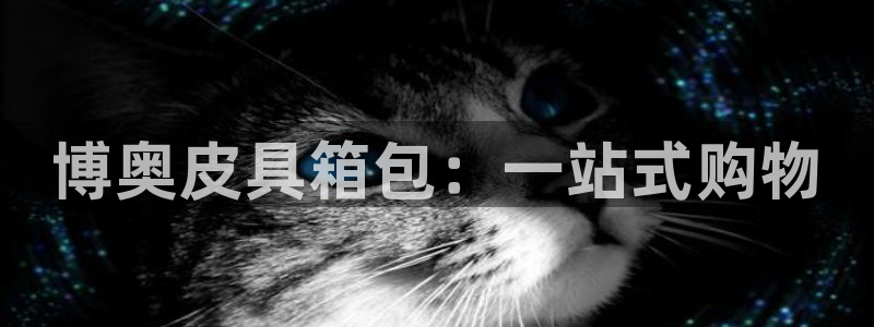 辉达娱乐最新版本更新内容