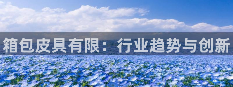 辉达娱乐开户注册