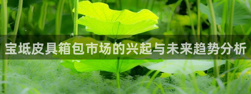 辉达娱乐线路检测