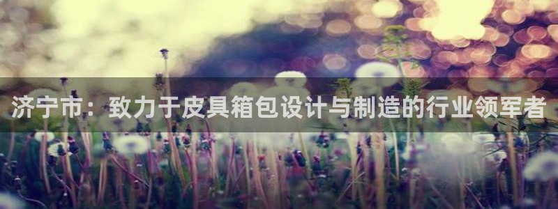 辉达平台官网网站