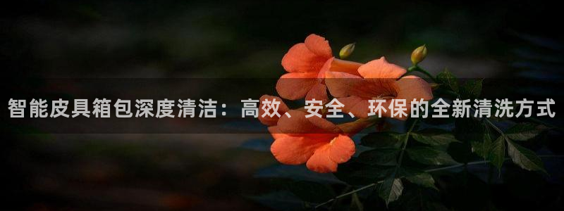 辉达娱乐五75505