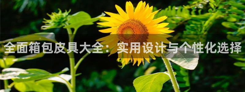 辉达娱乐属于什么档次