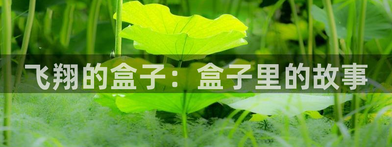 辉达娱乐网址