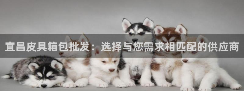 辉达娱乐广东11选5