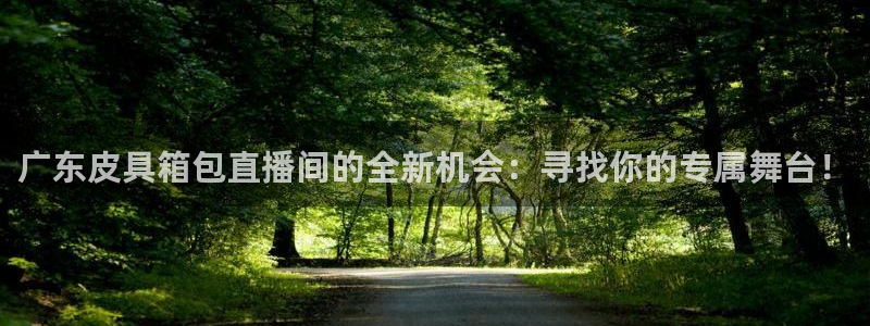辉达娱乐彳75775