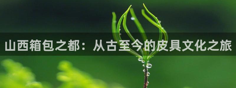 代理辉达娱乐官方网址