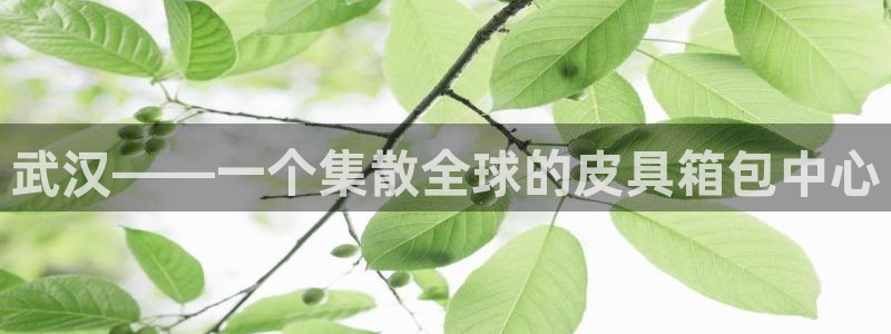 辉达娱乐计划软件