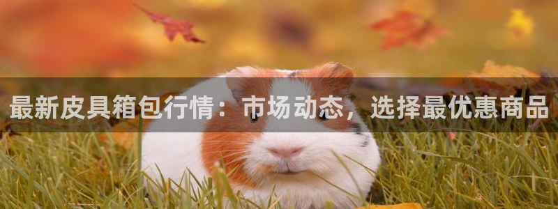 辉达娱乐招商