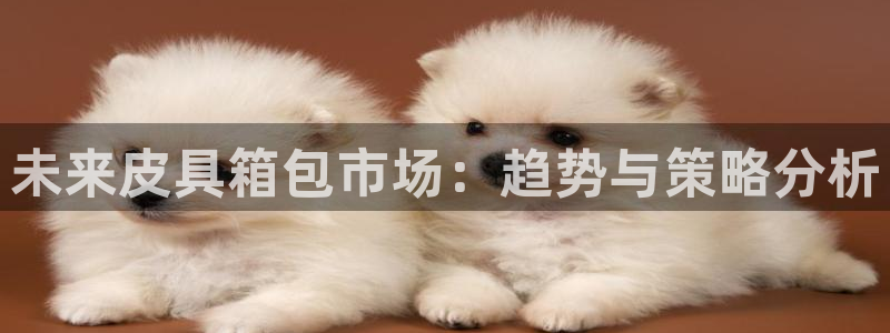 辉达娱乐加扣75775