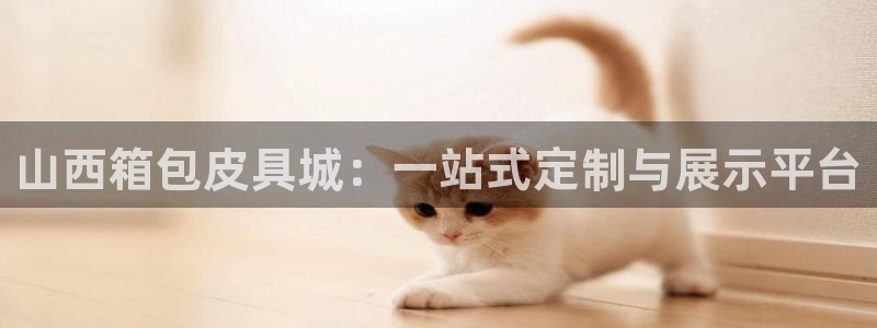 辉达娱乐计划软件
