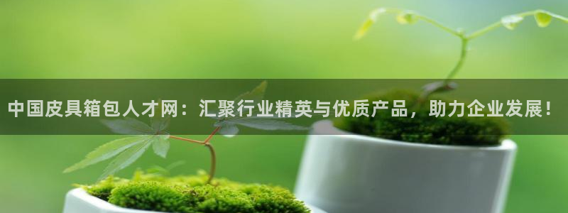 辉达娱乐线路检测