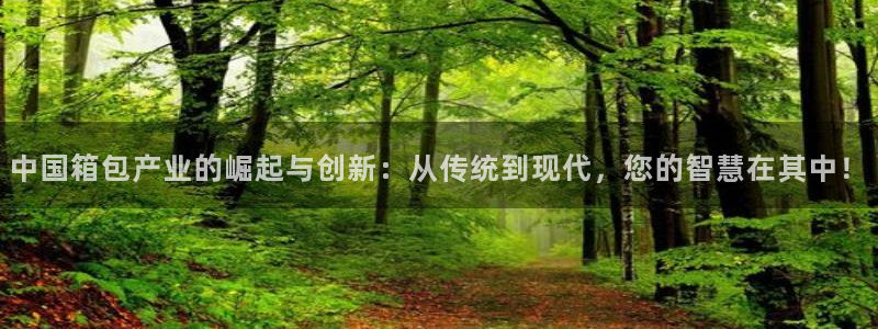 辉达娱乐最新消息新闻