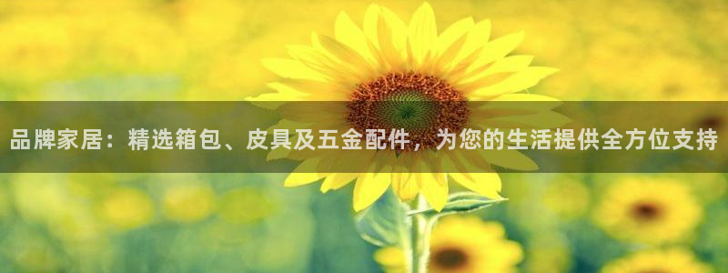 辉达娱乐体育竞猜