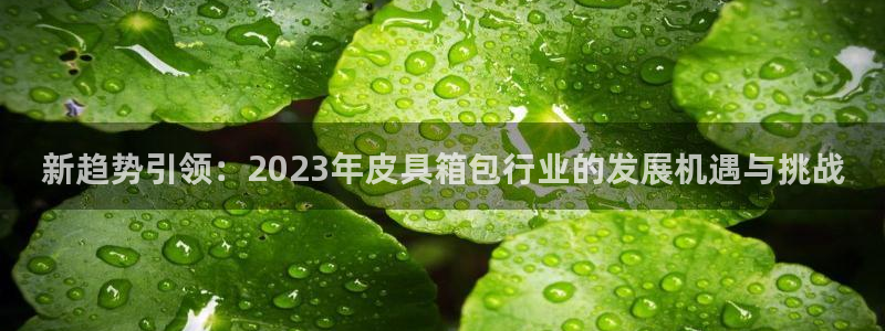 辉达娱乐衤39444