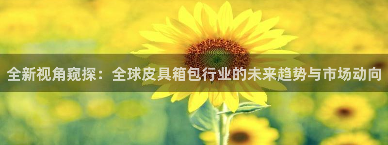 辉达娱乐最新现状