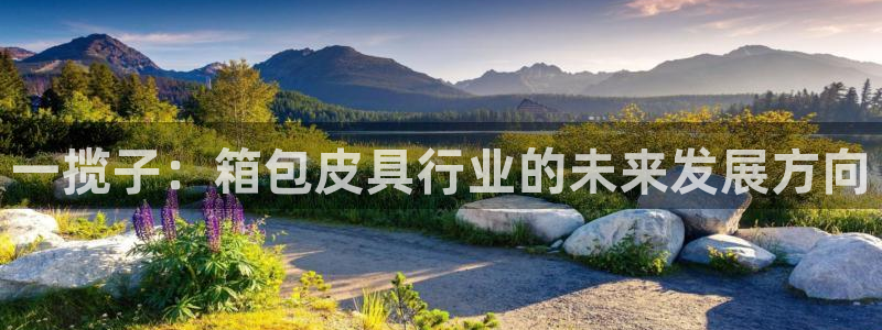 辉达娱乐属于什么档次