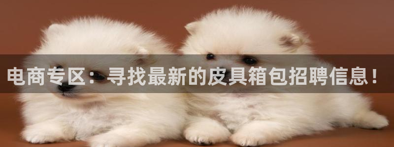 辉达娱乐最新消息新闻