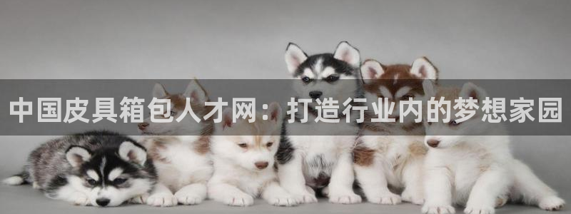 辉达娱乐时时彩平台