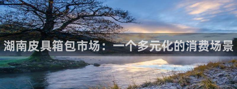 辉达娱乐分红