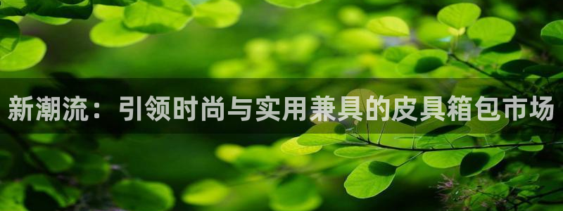 辉达娱乐下载