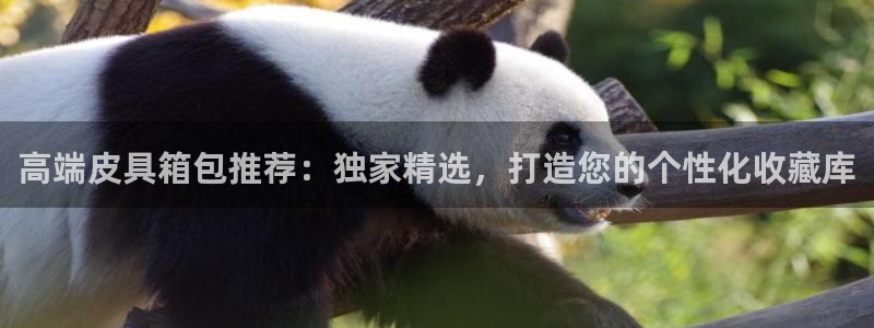 辉达娱乐丿39444