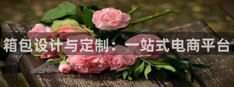 辉达平台官网网站