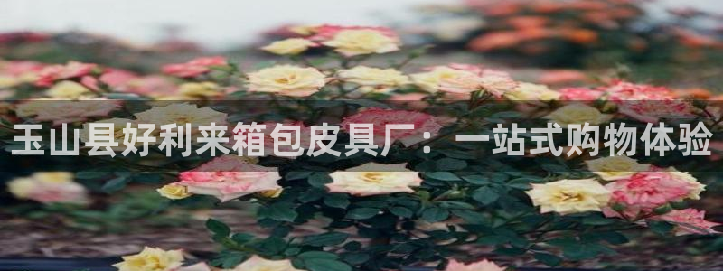 专业辉达娱乐在线游戏