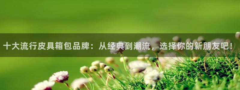 辉达娱乐新疆时时彩