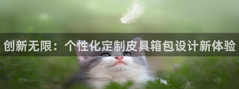 龙腾辉达电子娱乐