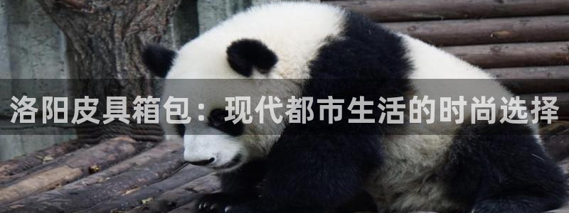 辉达娱乐正规吗