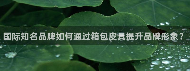 辉达平台官网电话
