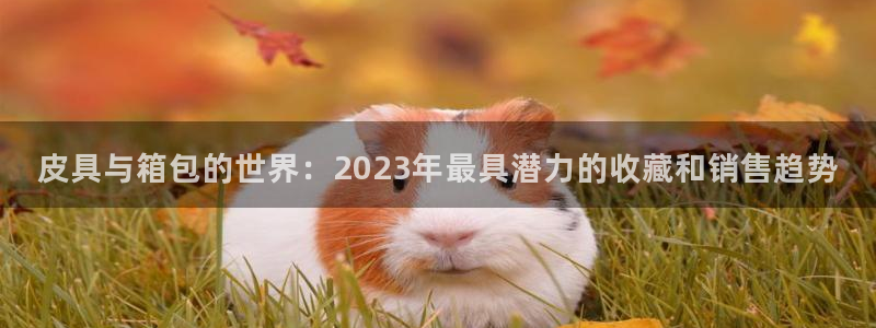 辉达娱乐最新版本更新内容