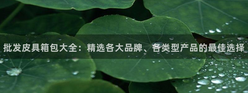 辉达娱乐线路检测