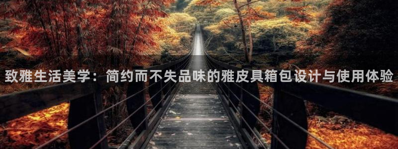 辉达娱乐电子