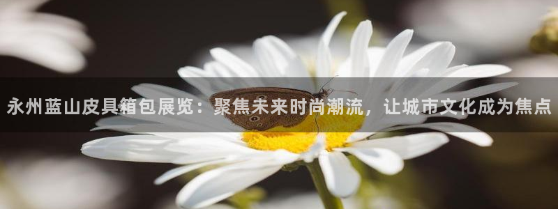 信誉辉达娱乐平台