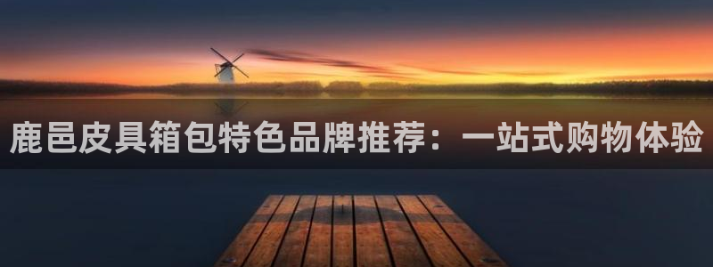 辉达娱乐检测