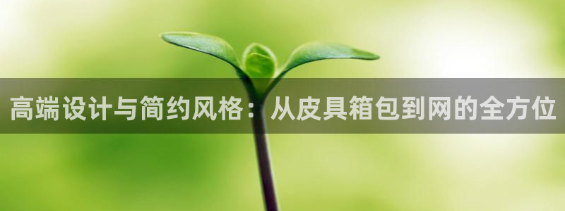 辉达娱乐待遇