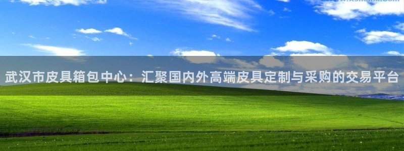 辉达娱乐ag游戏平台