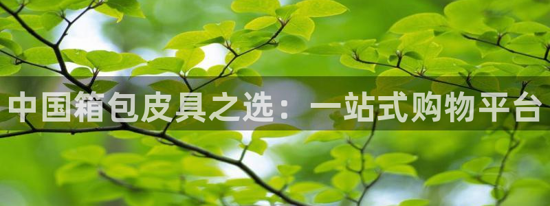 辉达娱乐待遇