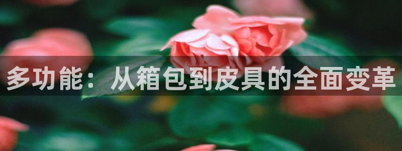 辉达娱乐丿75505