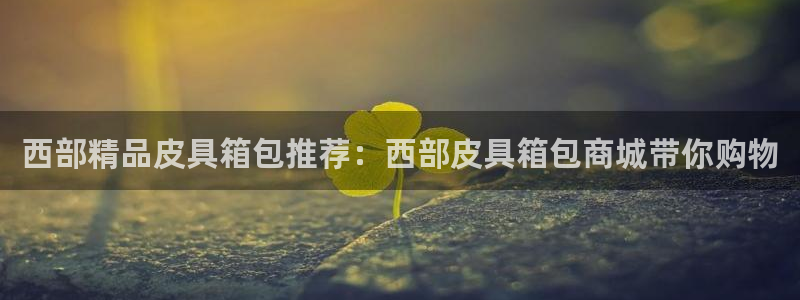 辉达娱乐检测
