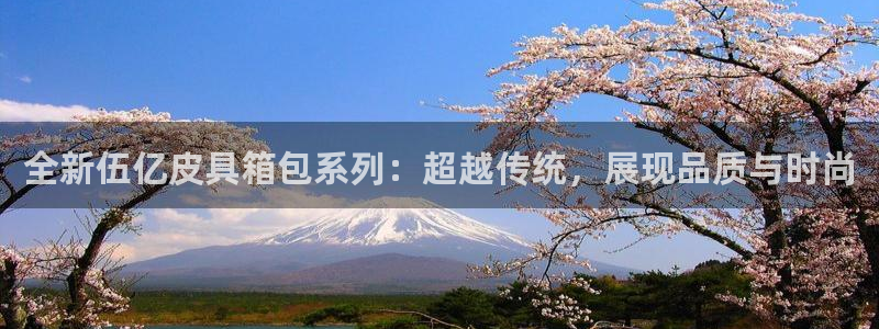 代理辉达娱乐开户注册