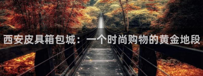 正规辉达娱乐开户注册