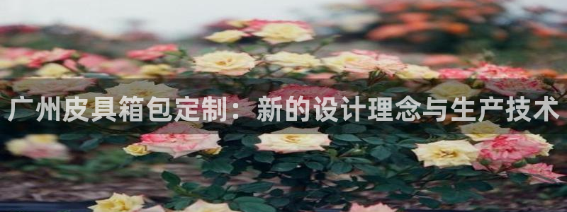 辉达娱乐体育竞猜