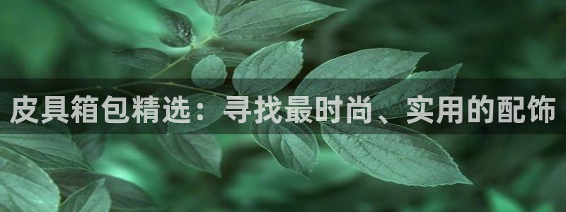 辉达娱乐时时彩