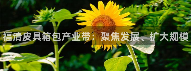 辉达娱乐丶75505