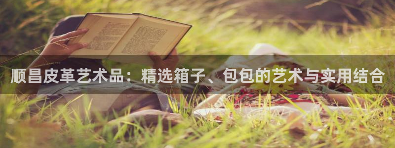 辉达娱乐加q75775